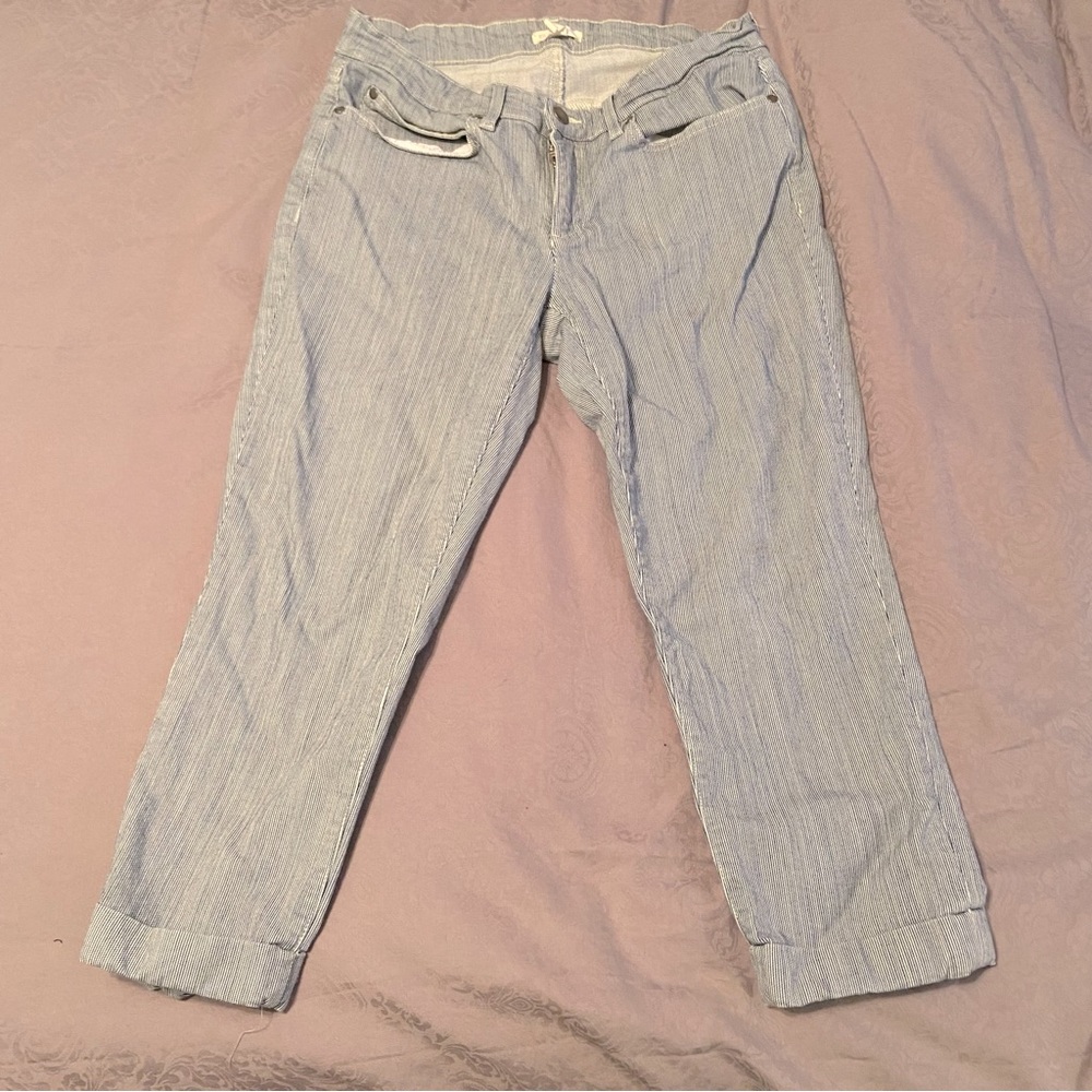 Eileen Fisher blue & white striped capris